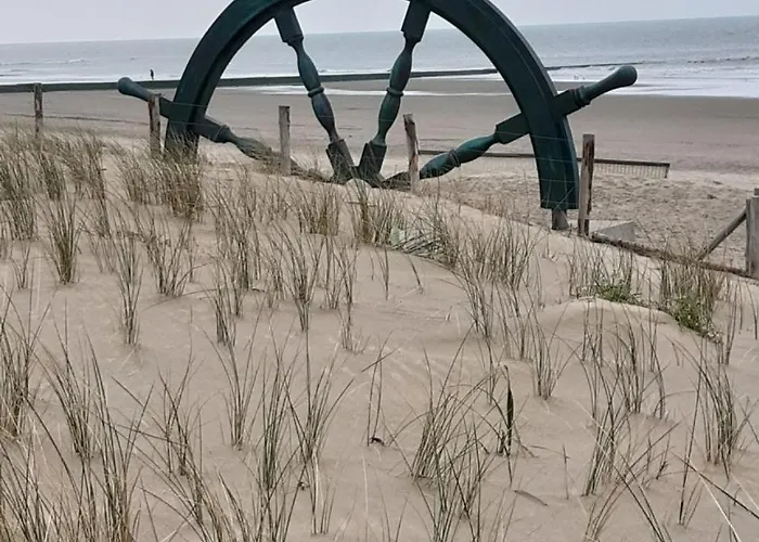 Enjoy Zee En Uitzicht Op Hinterland Westende Middelkerke